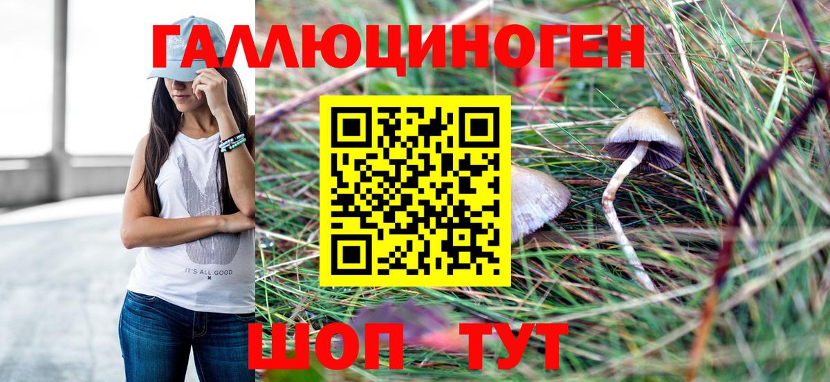 Партизанск  Галлюциногенные грибы Psilocybine cubensis  Вход с VPN 
