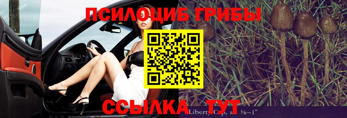 Псилоцибиновые грибы Cubensis Партизанск